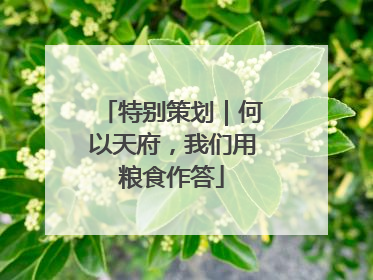 特别策划｜何以天府，我们用粮食作答