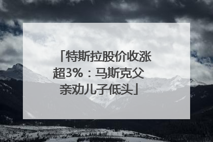 特斯拉股价收涨超3%：马斯克父亲劝儿子低头