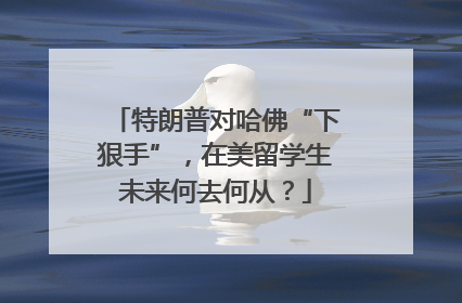 特朗普对哈佛“下狠手”，在美留学生未来何去何从？