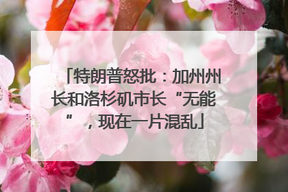 特朗普怒批：加州州长和洛杉矶市长“无能”，现在一片混乱