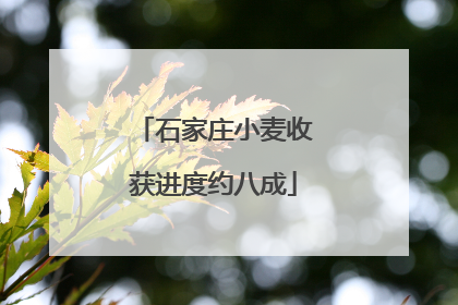 石家庄小麦收获进度约八成