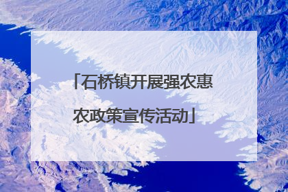 石桥镇开展强农惠农政策宣传活动