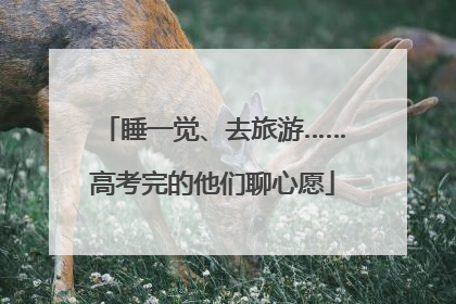 睡一觉、去旅游……高考完的他们聊心愿