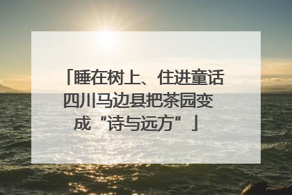 睡在树上、住进童话 四川马边县把茶园变成“诗与远方”