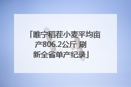 睢宁稻茬小麦平均亩产806.2公斤 刷新全省单产纪录