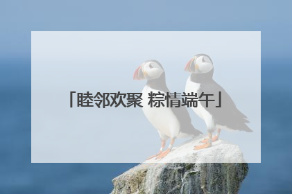 睦邻欢聚 粽情端午