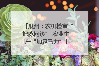 瓜州：农机检审“把脉问诊” 农业生产“加足马力”