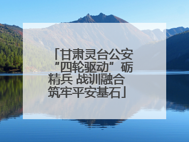 甘肃灵台公安“四轮驱动”砺精兵 战训融合筑牢平安基石