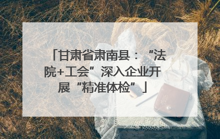 甘肃省肃南县：“法院+工会”深入企业开展“精准体检”