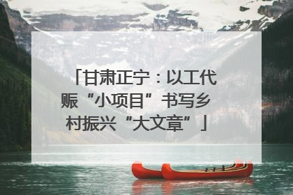 甘肃正宁：以工代赈“小项目”书写乡村振兴“大文章”