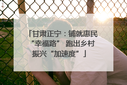 甘肃正宁：铺就惠民“幸福路” 跑出乡村振兴“加速度”