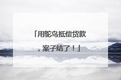 用鸵鸟抵偿货款，案子结了！