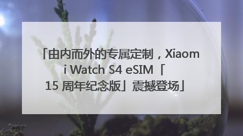 由内而外的专属定制，Xiaomi Watch S4 eSIM「15 周年纪念版」震撼登场