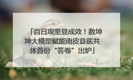 百日攻坚显成效！数坤坤大模型赋能南皮县医共体首份“答卷”出炉
