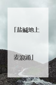 盐碱地上麦浪涌