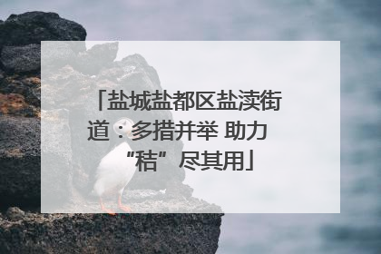 盐城盐都区盐渎街道：多措并举 助力“秸”尽其用