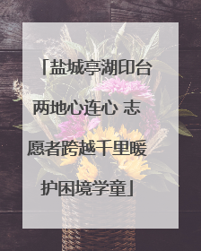 盐城亭湖印台两地心连心 志愿者跨越千里暖护困境学童