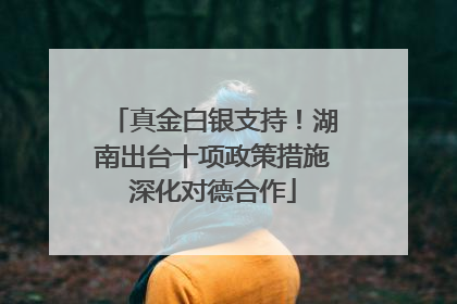 真金白银支持！湖南出台十项政策措施深化对德合作