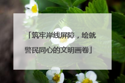 筑牢岸线屏障，绘就警民同心的文明画卷
