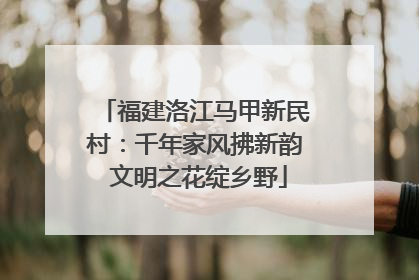 福建洛江马甲新民村：千年家风拂新韵 文明之花绽乡野