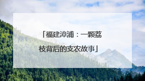 福建漳浦：一颗荔枝背后的支农故事