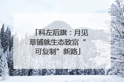 科左后旗：月见草铺就生态致富“可复制”新路