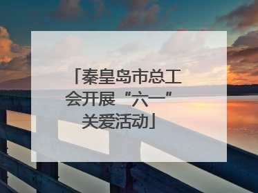 秦皇岛市总工会开展“六一”关爱活动
