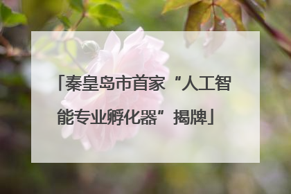秦皇岛市首家“人工智能专业孵化器”揭牌