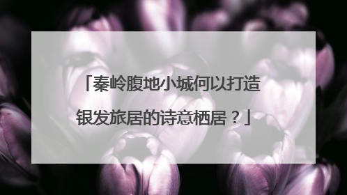 秦岭腹地小城何以打造银发旅居的诗意栖居？