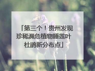 第三个！贵州发现珍稀濒危植物睡莲叶杜鹃新分布点