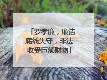 罗孝廉，廉洁底线失守，非法收受巨额财物