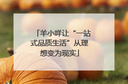 羊小咩让“一站式品质生活”从理想变为现实