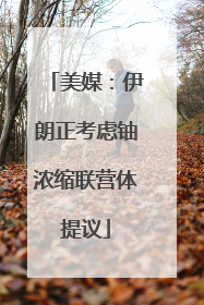 美媒：伊朗正考虑铀浓缩联营体提议