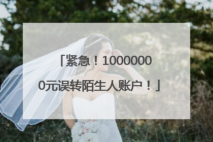 紧急！10000000元误转陌生人账户！