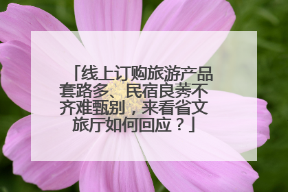 线上订购旅游产品套路多、民宿良莠不齐难甄别，来看省文旅厅如何回应？