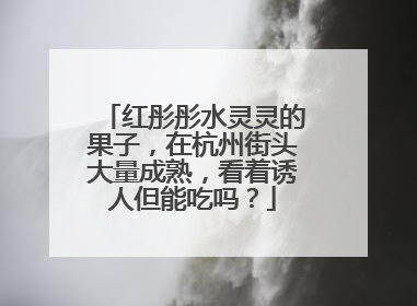 红彤彤水灵灵的果子，在杭州街头大量成熟，看着诱人但能吃吗？