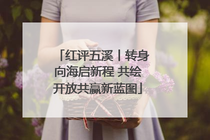 红评五溪丨转身向海启新程 共绘开放共赢新蓝图