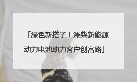 绿色新搭子！潍柴新能源动力电池助力客户创富路