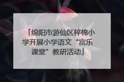 绵阳市游仙区梓棉小学开展小学语文“富乐课堂”教研活动