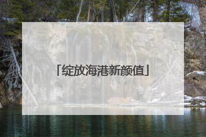 绽放海港新颜值
