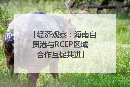 经济观察：海南自贸港与RCEP区域合作互促共进