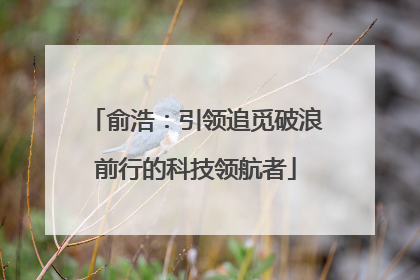 俞浩：引领追觅破浪前行的科技领航者