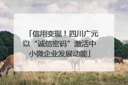 信用变现！四川广元以“诚信密码”激活中小微企业发展动能