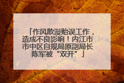 作风散漫贻误工作，造成不良影响！内江市市中区自规局原副局长陈军被“双开”