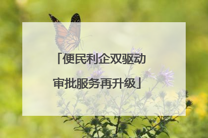 便民利企双驱动 审批服务再升级
