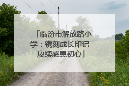 临汾市解放路小学：镌刻成长印记 赓续感恩初心