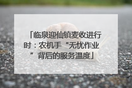 临泉迎仙镇麦收进行时：农机手“无忧作业”背后的服务温度