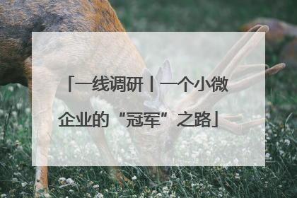 一线调研丨一个小微企业的“冠军”之路