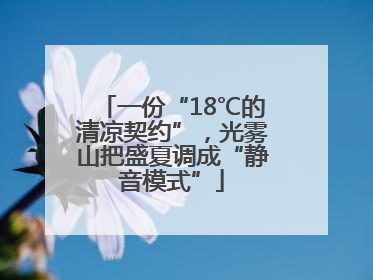 一份“18℃的清凉契约”，光雾山把盛夏调成“静音模式”