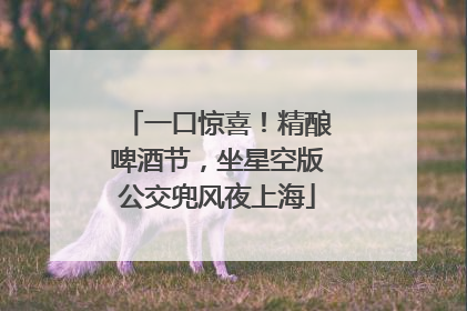 一口惊喜！精酿啤酒节，坐星空版公交兜风夜上海